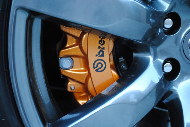 Name:  DSC_0317.jpg
Views: 109
Size:  63.2 KB