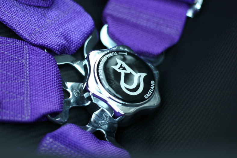 Name: R33077.jpg
Views: 238
Size: 68.9 KB