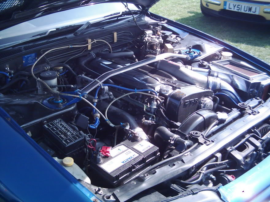 Name:  trax2005027.jpg
Views: 307
Size:  143.7 KB